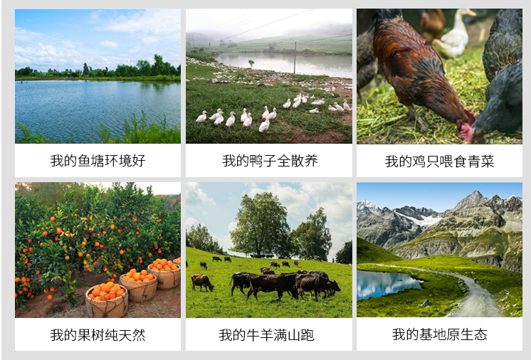 農(nóng)場或是養(yǎng)植行業(yè)直播硬件設(shè)備聯(lián)系我們購買(圖4)
